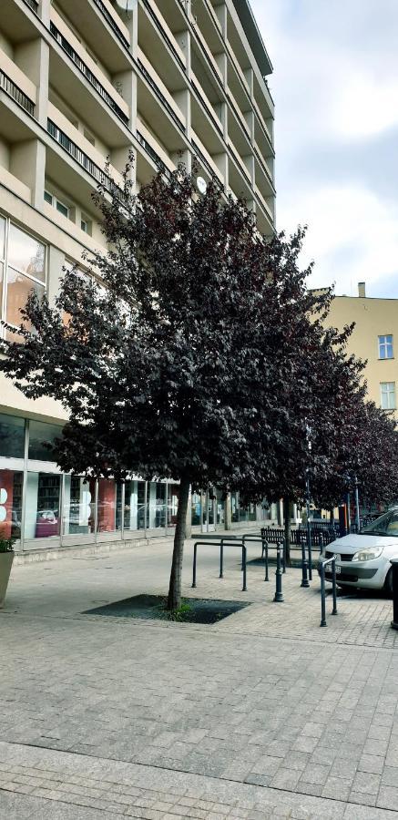 Apartment Narutowicza 8 Strict Centre Free Car Park Lodz (Lodz)